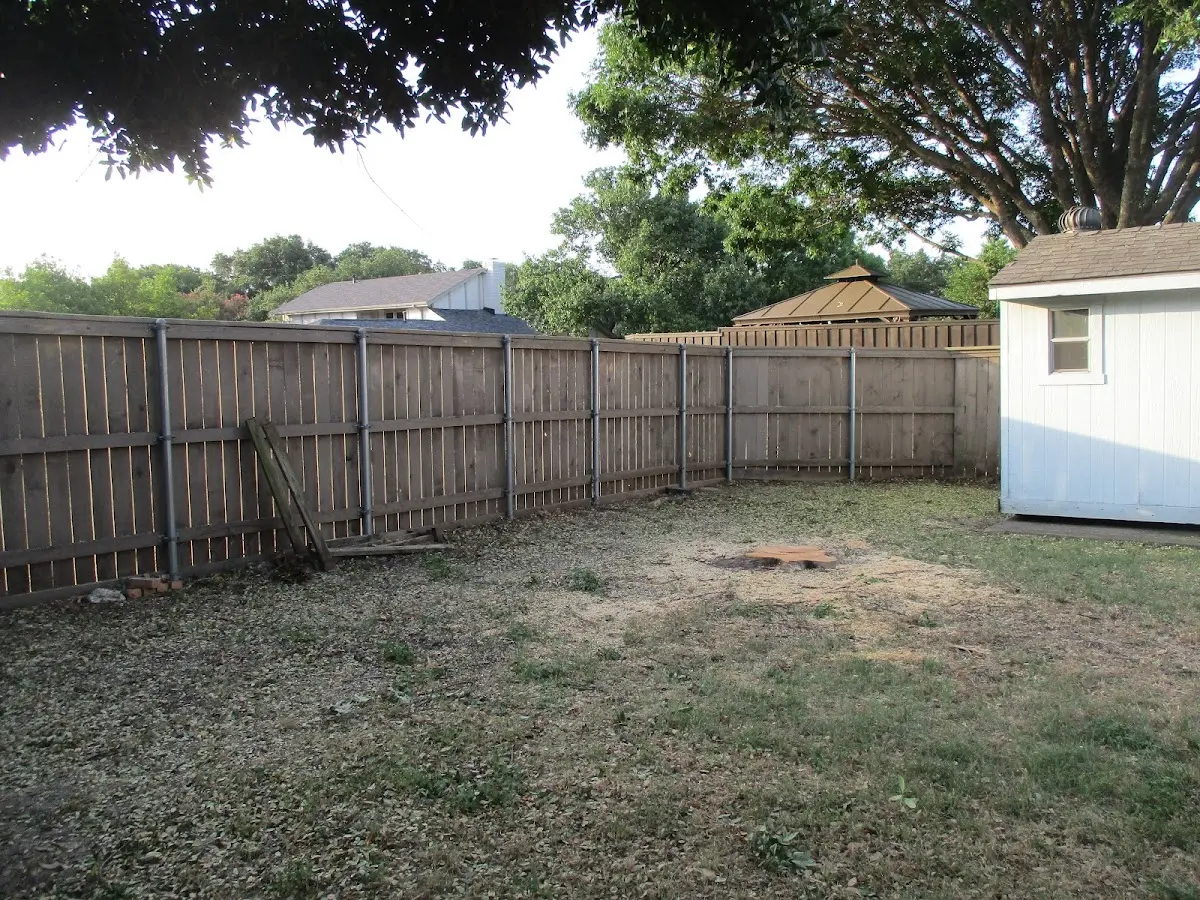 Cleared yard after professional tree removal in Ashby