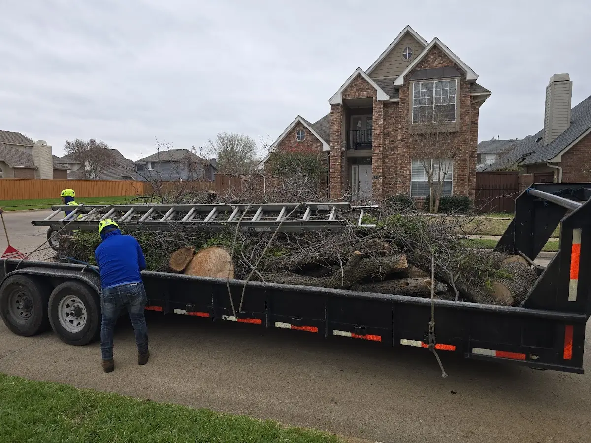 Expert Tree Fertilization with proper safety equipment in Ashby